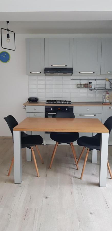 Casa Zorilor Cluj Leilighet Eksteriør bilde