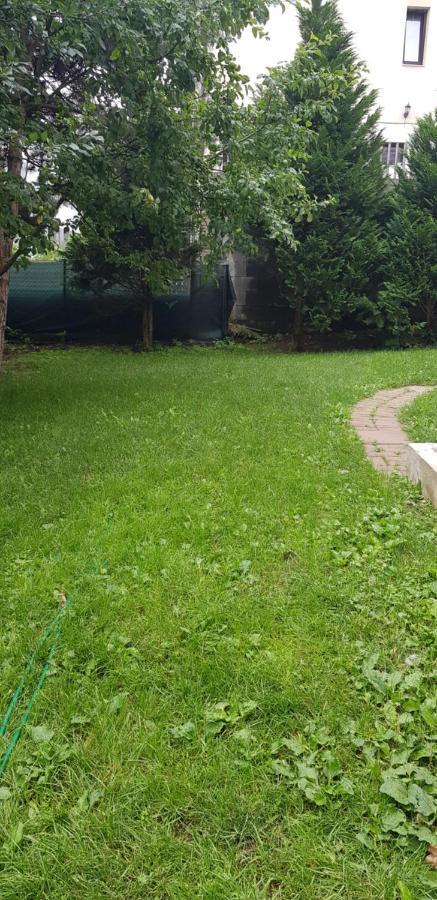 Casa Zorilor Cluj Leilighet Eksteriør bilde