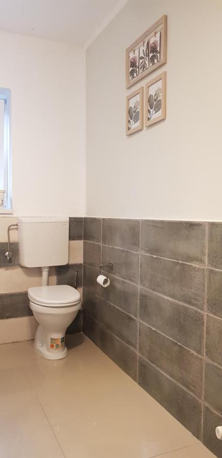 Casa Zorilor Cluj Leilighet Eksteriør bilde